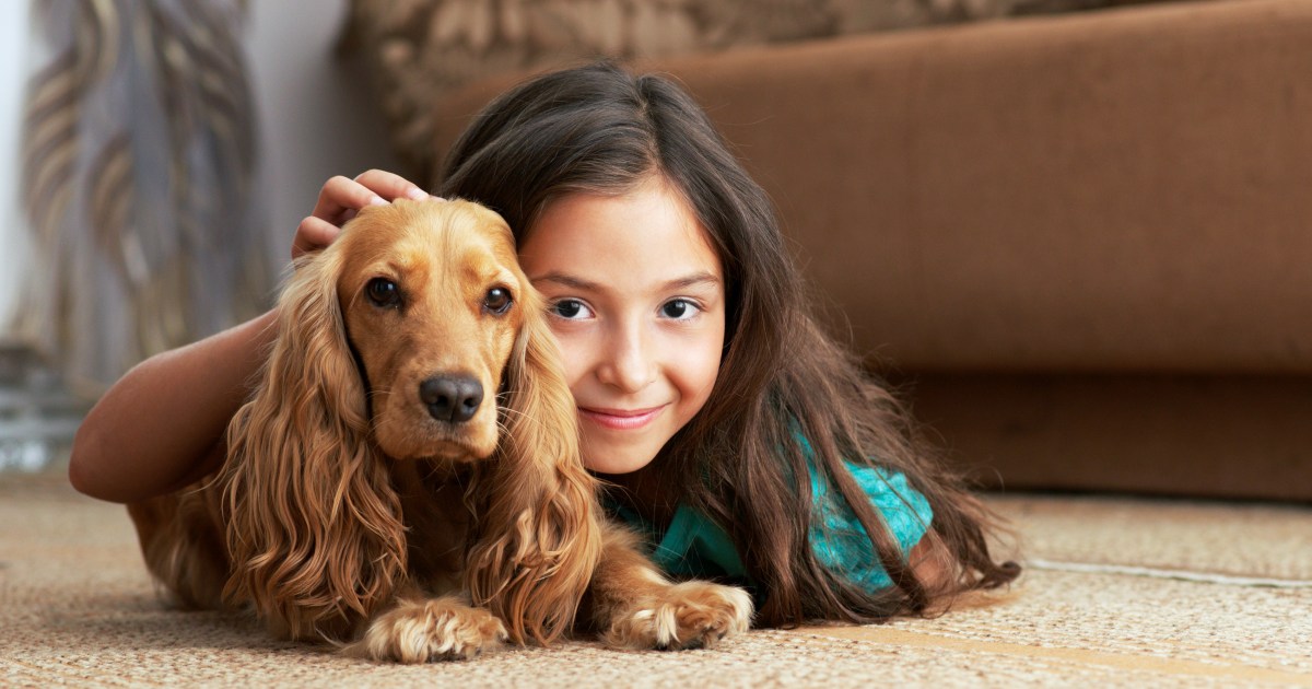 Best Canine Breeds for Children and Households